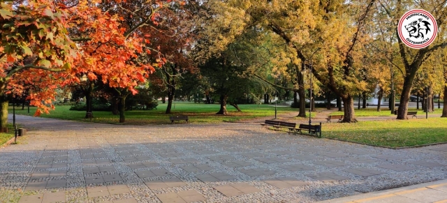 polen - oesterreich 9.9.2019 30